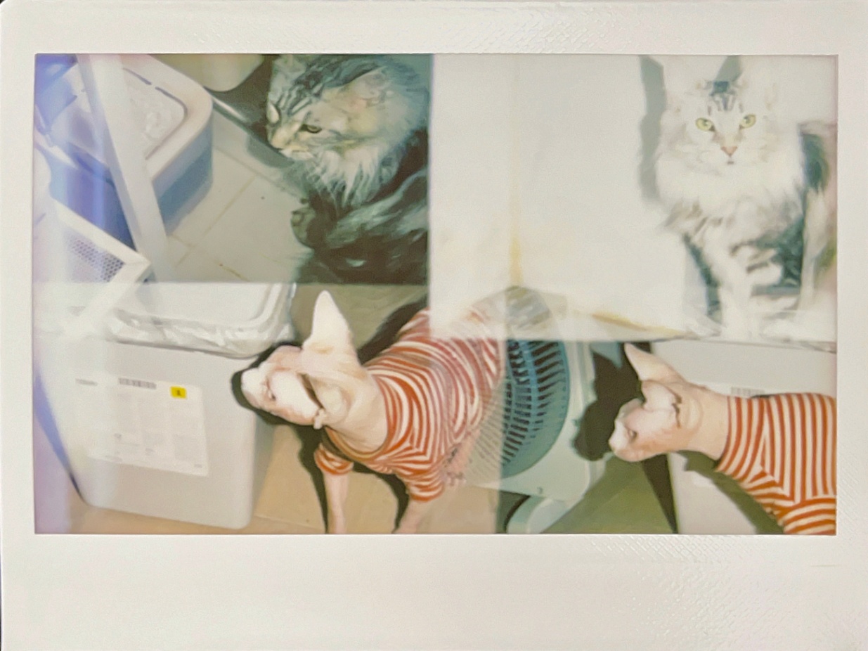 最终成片（左侧有漏光）